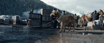 Screenshot 2 from The Call of the Wild (Full Movie)