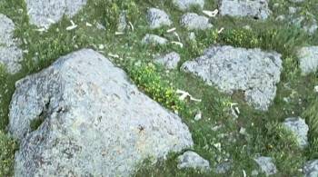 Screenshot 1 from The Cave of the Yellow Dog (Full Movie)