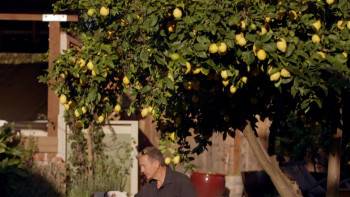 Screenshot 2 from The Champions (Full Movie)