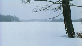 Screenshot 2 from The Chill Factor (Full Movie)