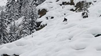 Screenshot 3 from The Co-Lab: Teton Gravity Research (Full Movie)
