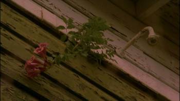 Screenshot 3 from The Conscientious Objector (Full Movie)