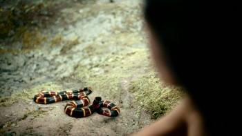 Screenshot 3 from The Covenant (Full Movie)