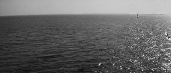 Screenshot 1 from The Creatures (Full Movie)