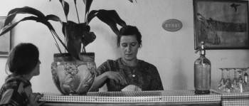 Screenshot 3 from The Creatures (Full Movie)