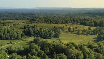 Screenshot 2 from The Crown's Ancient Forest (Full Movie)