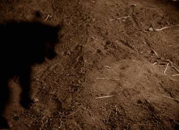 Screenshot 1 from The Dark Side of the Rainbow (Full Movie)