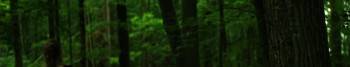 Screenshot 1 from The Darkness Outside (Full Movie)