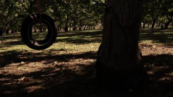 Screenshot 1 from The Dead the Damned and the Darkness (Full Movie)