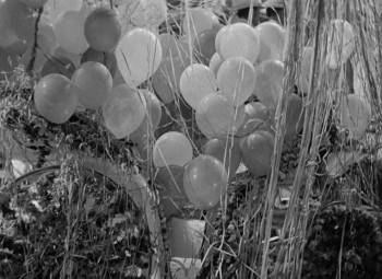 Screenshot 2 from The Devil Is a Woman (Full Movie)