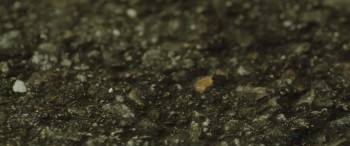 Screenshot 3 from The Divine Move 2: The Wrathful (Full Movie)