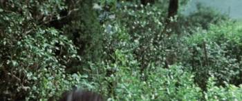 Screenshot 2 from The Dragon, the Hero (Full Movie)