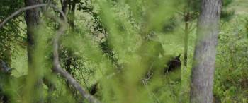 Screenshot 1 from The Duel (Full Movie)
