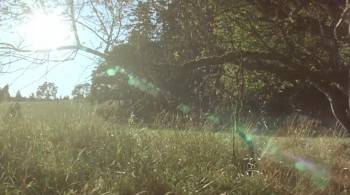 Screenshot 1 from The Duke (Full Movie)