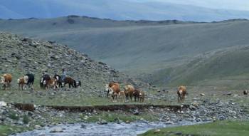Screenshot 1 from The Eagle Huntress (Full Movie)