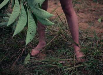 Screenshot 1 from The End of Man (Full Movie)