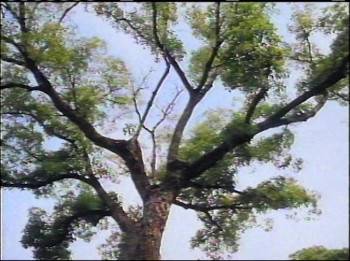 Screenshot 1 from The Fantastic Four (Full Movie)