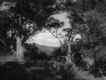 Screenshot 3 from The Fantasy of Deer Warrior (Full Movie)