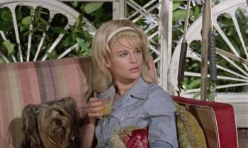 Screenshot 1 from The Fast Lady (Full Movie)