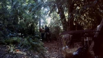 Screenshot 2 from The Final Terror (Full Movie)