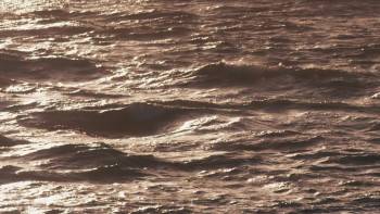 Screenshot 1 from The Fist of the Condor (Full Movie)