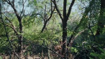 Screenshot 1 from The Five (Full Movie)