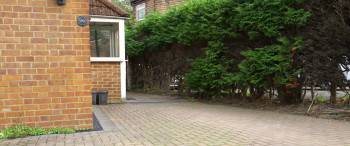 Screenshot 3 from The Forest Clown (Full Movie)