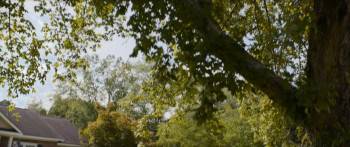 Screenshot 1 from The Forge (Full Movie)