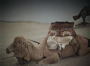 Screenshot 1 from The Forty-First (Full Movie)