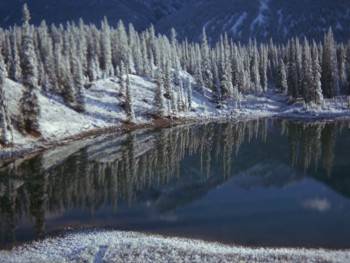 Screenshot 3 from The Further Adventures of the Wilderness Family (Full Movie)