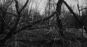 Screenshot 2 from The Giant Gila Monster (Full Movie)
