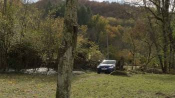 Screenshot 1 from The Girl in the Wood (Full Movie)