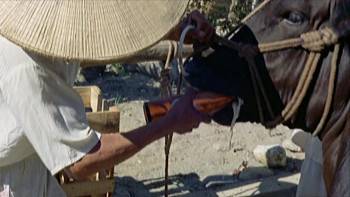 Screenshot 3 from The Godfathers of Mondo (Full Movie)