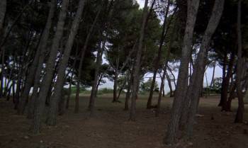 Screenshot 3 from The Golden Voyage of Sinbad (Full Movie)