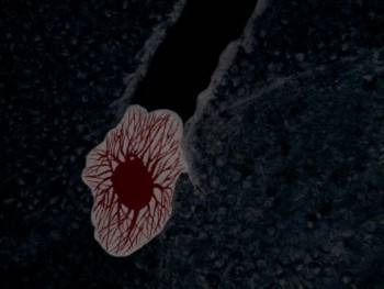Screenshot 2 from The Grandmother (Full Movie)