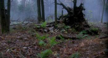 Screenshot 1 from The Great Land of Small (Full Movie)
