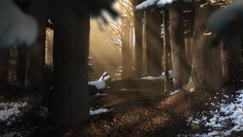 Screenshot 1 from The Gruffalo's Child (Full Movie)