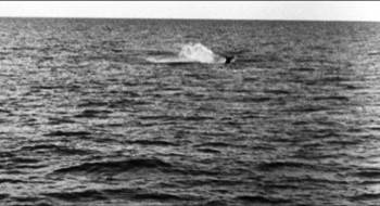 Screenshot 2 from The Gun Runners (Full Movie)