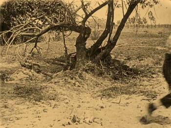 Screenshot 1 from The Hayseed (Full Movie)