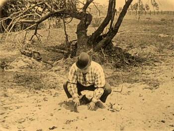 Screenshot 3 from The Hayseed (Full Movie)