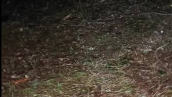 Screenshot 2 from The Hazzard Files: Part One (Full Movie)