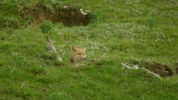 Screenshot 3 from The Hidden Kingdoms of China (Full Movie)