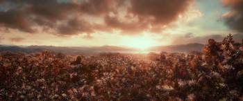 Screenshot 1 from The Hobbit: The Desolation of Smaug (Full Movie)