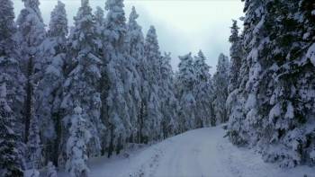 Screenshot 2 from The Honey Trap (Full Movie)