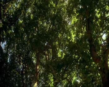 Screenshot 1 from The House of Mirth (Full Movie)