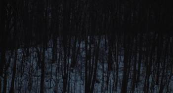 Screenshot 2 from The Human Hibernation (Full Movie)