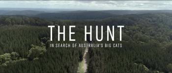 Screenshot 2 from The Hunt: In Search of Australia's Big Cats (Full Movie)
