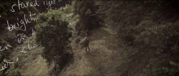 Screenshot 3 from The Hunt: In Search of Australia's Big Cats (Full Movie)