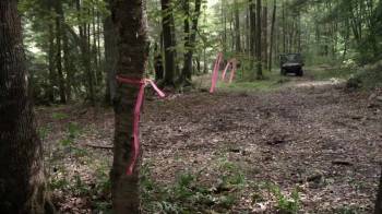 Screenshot 1 from The Hunted (Full Movie)