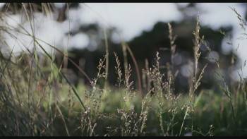 Screenshot 3 from The Inner Life of Martin Frost (Full Movie)